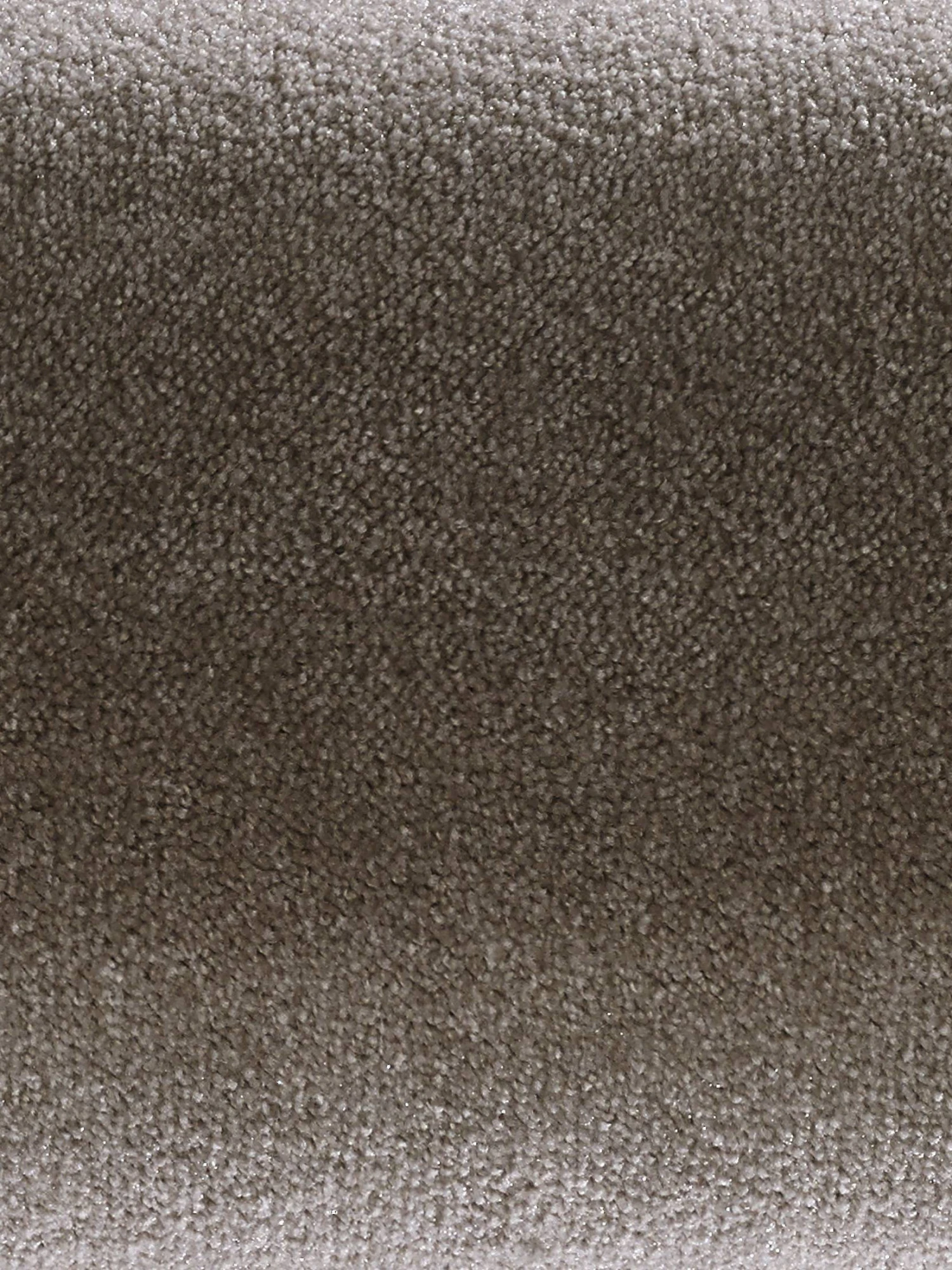 Velours-Teppichboden, Muskat 44 4 Velours-Teppichboden, Muskat 44 – Bild 4