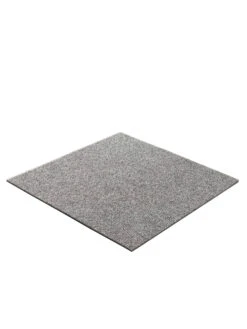 Teppichbodenfliese, Silber 7 Teppichbodenfliese, Silber -Häuser Lieferungen Verkauf 2995 29509 Perspektive