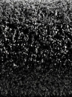 Hochflor-Teppich, Anthrazit 5 Hochflor-Teppich, Anthrazit -Häuser Lieferungen Verkauf 4334 16208 Halbrolle