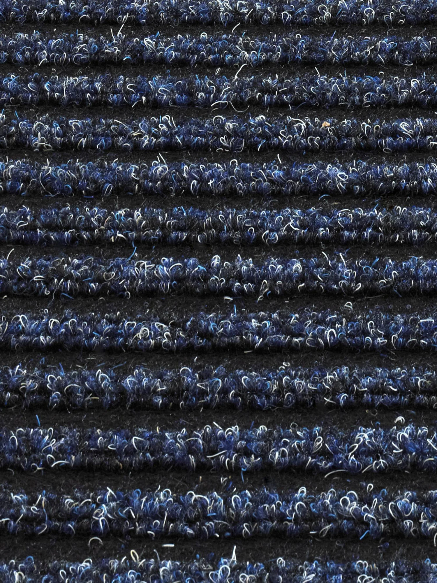 Sauberlaufmatte, Blau 3 Sauberlaufmatte, Blau – Bild 3