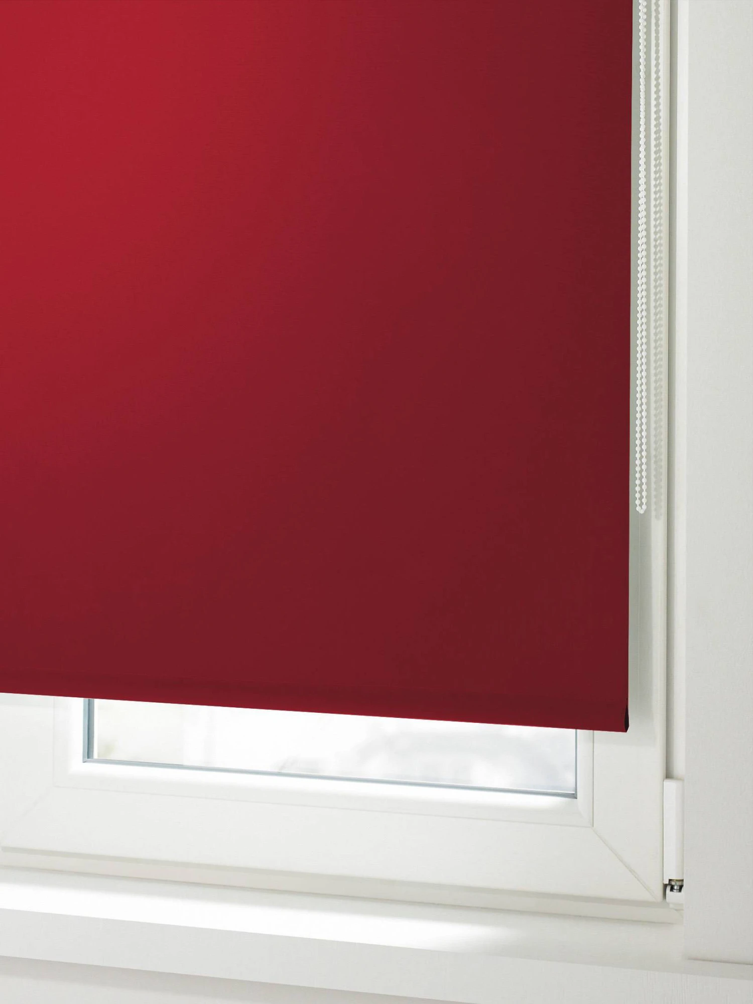 Rollo, Rot 1 Rollo, Rot