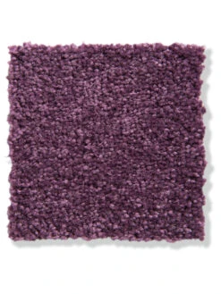 Velours-Teppichboden, Lavendel 115 6 Velours-Teppichboden, Lavendel 115 -Häuser Lieferungen Verkauf Balance Veloursteppichboden lila lavendel115 lup2