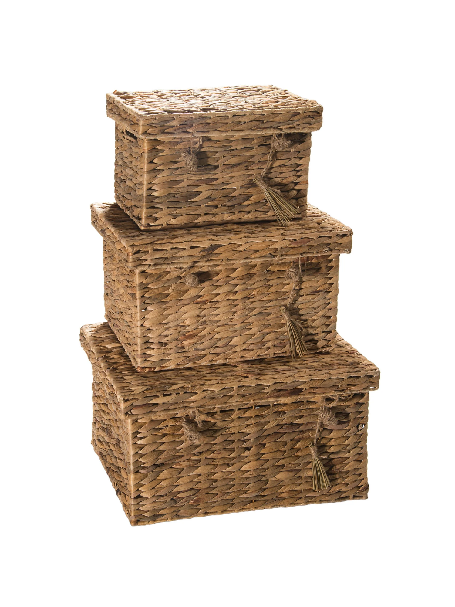 Box, Natur 5 Box, Natur – Bild 5