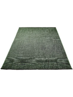 Moderner Teppich, Moosgrün 8 Moderner Teppich, Moosgrün -Häuser Lieferungen Verkauf Cardiff ModernerTeppich Gruen Moosgruen 160x230 fper