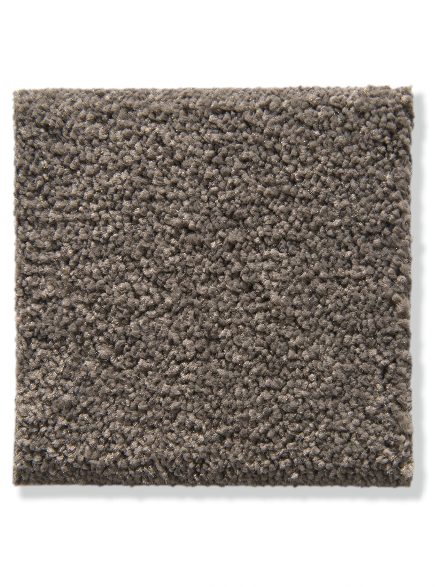 Velours-Teppichboden, Mocca 47 2 Velours-Teppichboden, Mocca 47 – Bild 2