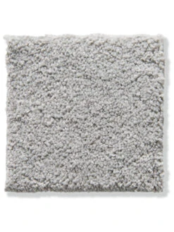 Velours-Teppichboden, Silber 90 -Häuser Lieferungen Verkauf Cirella VeloursTeppichboden Hellgrau Silber90 10x10 lup