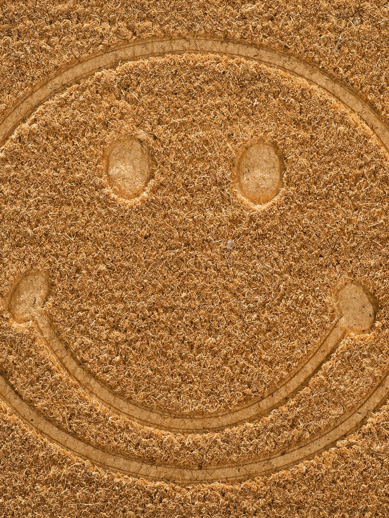 Fußmatte, Beige 4 Fußmatte, Beige – Bild 4