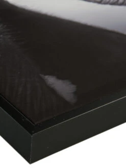 Leinwand-Druck-gerahmt, Schwarz -Häuser Lieferungen Verkauf ElephantBaby Druckgerahmt Grau Schwarz 60x60 lup2