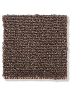 Velours-Teppichboden, Muskat 44 6 Velours-Teppichboden, Muskat 44 -Häuser Lieferungen Verkauf Emotion Veloursteppichboden dunkelbraun muskat44 lup2