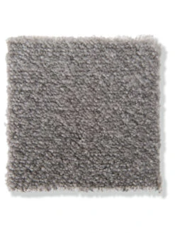 Velours-Teppichboden, Stahl 97 -Häuser Lieferungen Verkauf Emotion Veloursteppichboden grau stahl97 lup2