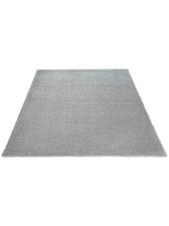 Hochflor-Teppich, Light Grey 7 Hochflor-Teppich, Light Grey -Häuser Lieferungen Verkauf Fiesta HochflorTeppich Hellgrau LightGrey 160x230 fper
