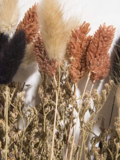 Trockenblume, Multicolor -Häuser Lieferungen Verkauf Flowerbouquet Trockenblume Mehrfarbig Multicolor 40 lup