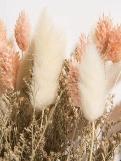 Trockenblume, Beige/Rosa -Häuser Lieferungen Verkauf Flowerbouquet Trockenblume Rosa BeigeRosa 40 lup