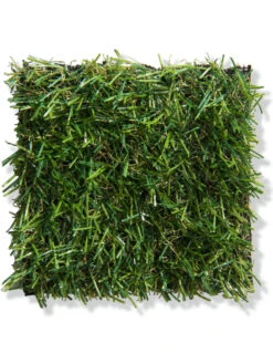 Rasen-Teppichboden, Grün -Häuser Lieferungen Verkauf Garden Kunstrasen Gruen 10x10 lup