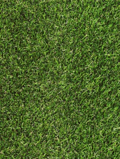 Rasen-Teppichboden, Grün -Häuser Lieferungen Verkauf Garden Kunstrasen Gruen lup1