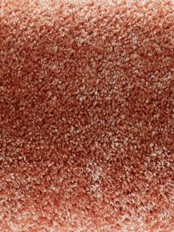 Velours-Teppichboden, Terra 56 5 Velours-Teppichboden, Terra 56 -Häuser Lieferungen Verkauf Impuls Veloursteppichboden orange terra56 hrol