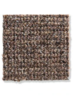 Schlingen-Teppichboden, Tabak 43 6 Schlingen-Teppichboden, Tabak 43 -Häuser Lieferungen Verkauf Keita Schlingenteppichboden braun tabak43 lup