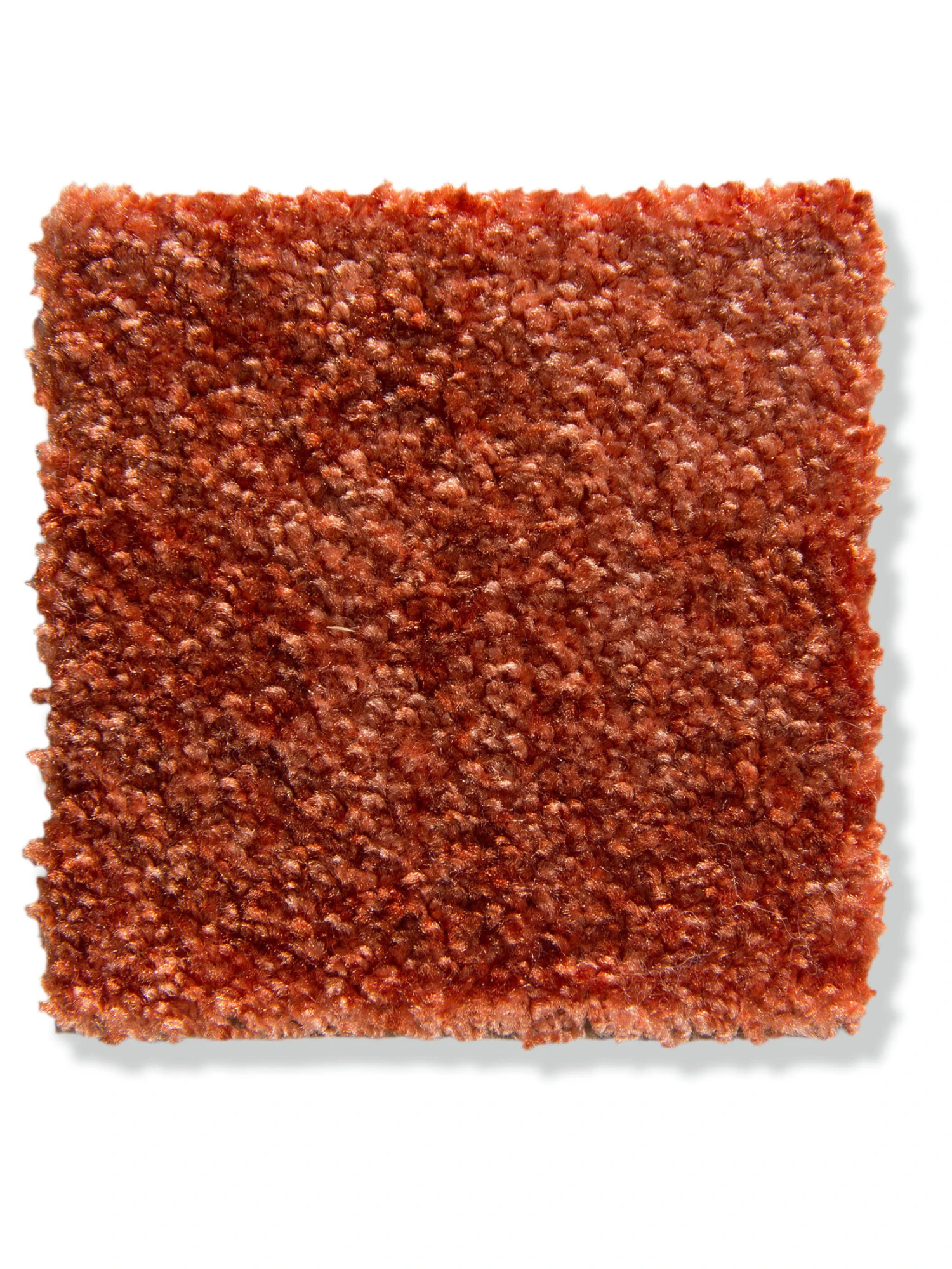 Velours-Teppichboden, Terra 84 2 Velours-Teppichboden, Terra 84 – Bild 2