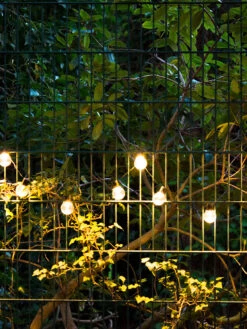 Lichterkette, Transparent