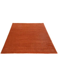 Hochflor-Teppich, Terra -Häuser Lieferungen Verkauf Marten Hochflorteppich Terracotta Terra 160x230 fper