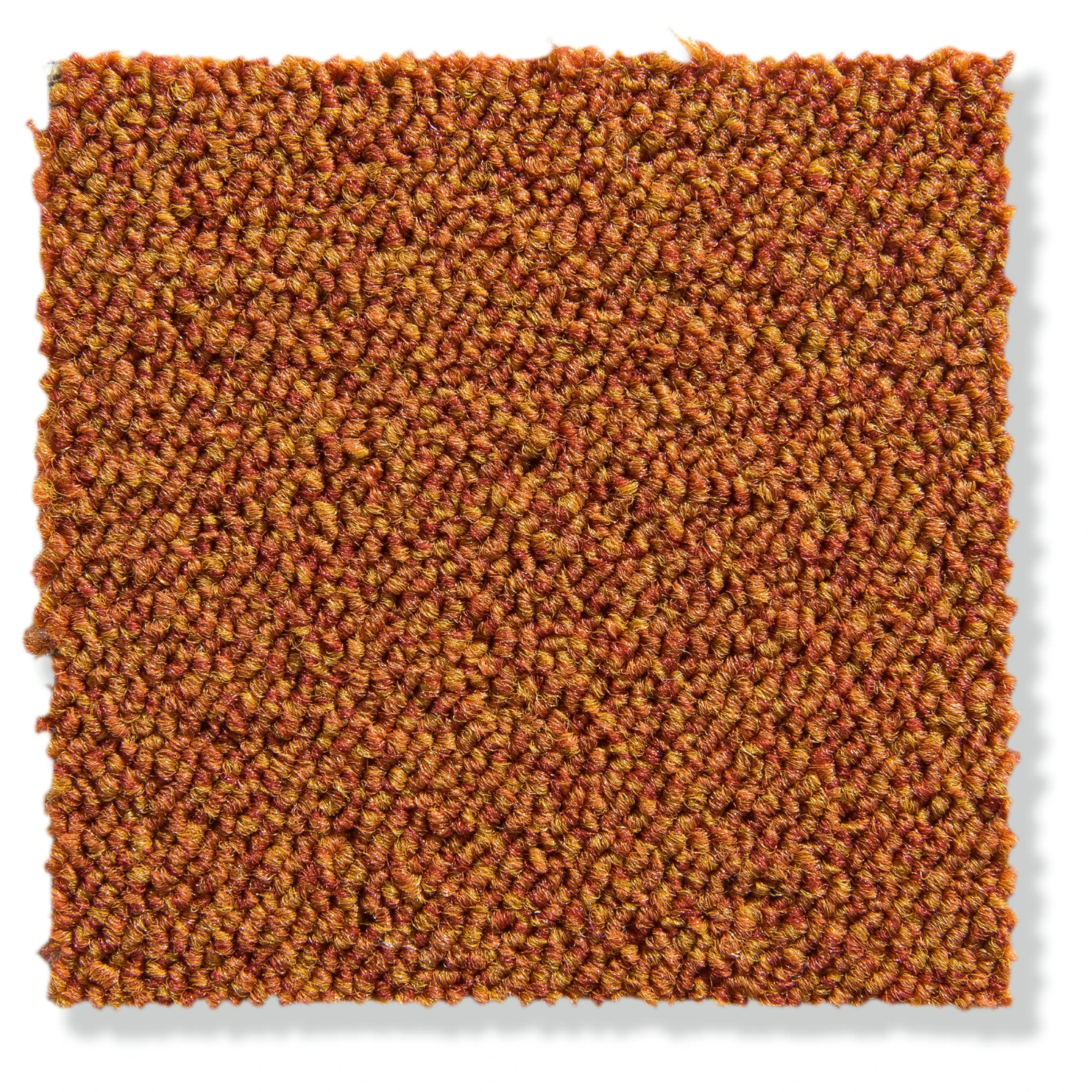 Schlingen-Teppichboden, Terra 1 Schlingen-Teppichboden, Terra