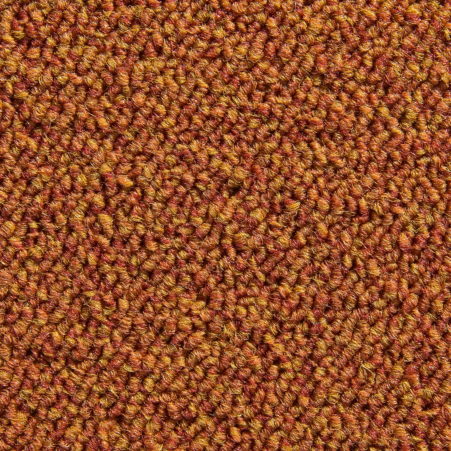 Schlingen-Teppichboden, Terra 2 Schlingen-Teppichboden, Terra – Bild 2