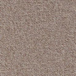 Schlingen-Teppichboden, Beige -Häuser Lieferungen Verkauf Optimal Schlingenteppichboden beige 33 lup1