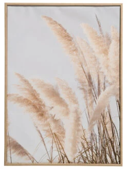 Leinwand-Druck-gerahmt, Weiss -Häuser Lieferungen Verkauf PampasWind Druckgerahmt Beige Weiss 52x72 pla