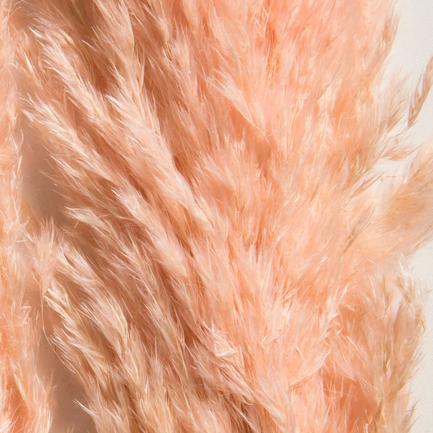 Trockenblume, Pink 3 Trockenblume, Pink – Bild 3