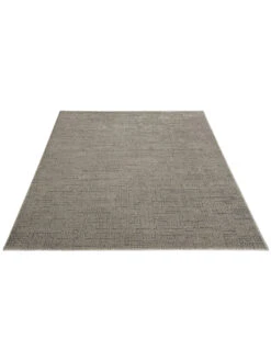 Moderner Teppich, Taupe -Häuser Lieferungen Verkauf Pardo DesignerTeppich Beige Taupe 160x230 fper