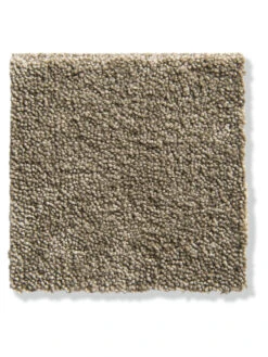 Velours-Teppichboden, Cappuccino 92 -Häuser Lieferungen Verkauf Parma Veloursteppichboden Beige Cappuccino492 lup