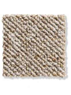 Schlingen-Teppichboden, Creme 11 -Häuser Lieferungen Verkauf Pescara Schlingenteppichboden beige Creme11 lup2