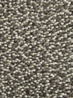 Hochflor-Teppich, Grau Meliert -Häuser Lieferungen Verkauf Skaven HochflorTeppich Beige GrauMeliert 160x230 lup