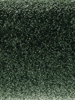 Velours-Teppichboden, Olive 27 -Häuser Lieferungen Verkauf Symphonie VeloursTeppichboden Gruen Olive27 hro