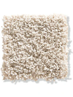 Langflor-Teppichboden, Creme 60 -Häuser Lieferungen Verkauf Trepito LangflorTeppichboden Creme Creme60 10x10 lup