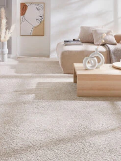 Langflor-Teppichboden, Creme 60