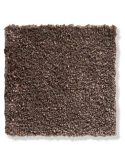 Velours-Teppichboden, Mocca 44 6 Velours-Teppichboden, Mocca 44 -Häuser Lieferungen Verkauf Vicenza Veloursteppichboden Dunkelbraun Mocca44 lupB