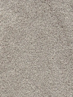 Velours-Teppichboden, Latte Macchiato 7 Velours-Teppichboden, Latte Macchiato -Häuser Lieferungen Verkauf Vicenza Veloursteppichboden Hellbraun LatteMacchiato49 lup2